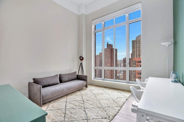living area featuring a city view and wood finished floors