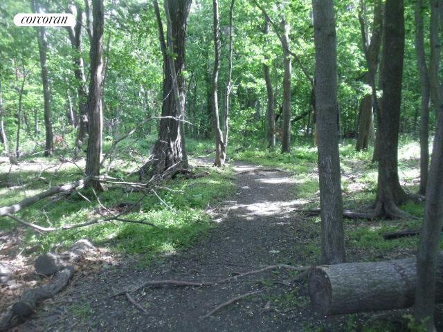 view of road featuring a wooded view