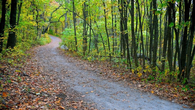 view of road featuring a view of trees