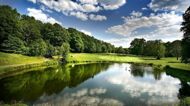 view of water feature with a wooded view