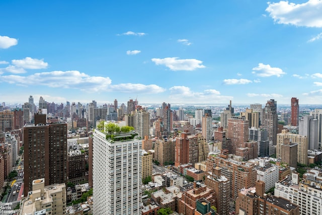200 E 69th St Unit 42A, New York City, NY 10021 - skyline view