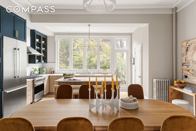 130 Fort Greene Place, New York City, NY 11217 - dining space featuring radiator heating unit and crown molding