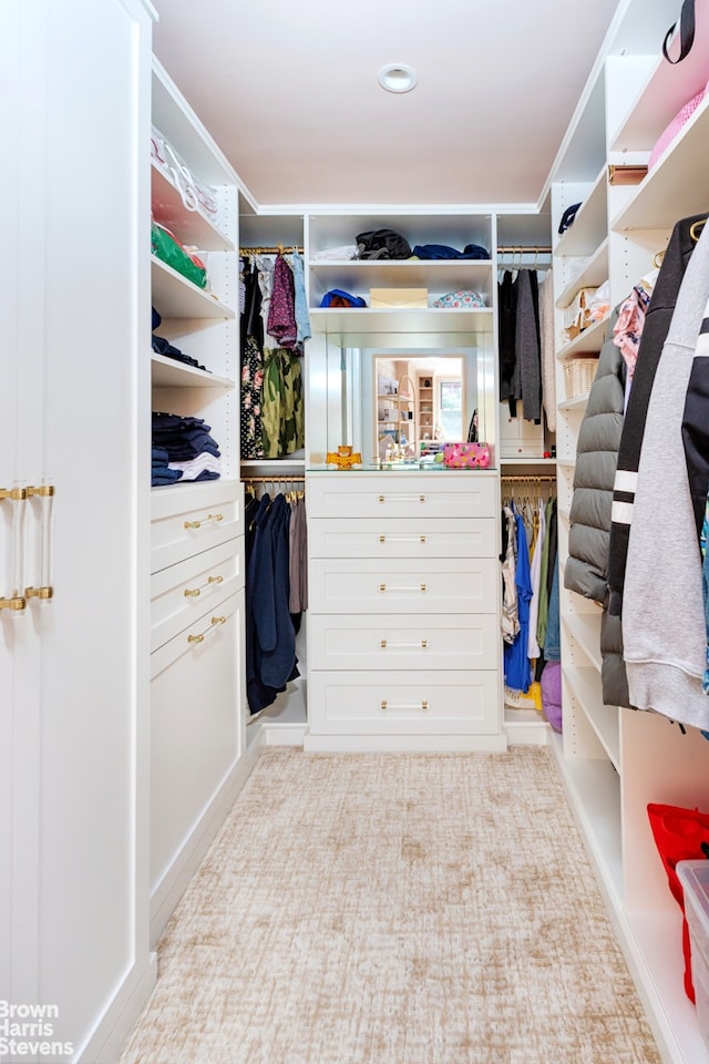310 E 70th St Unit 4Lm, New York City, NY 10021 - view of walk in closet