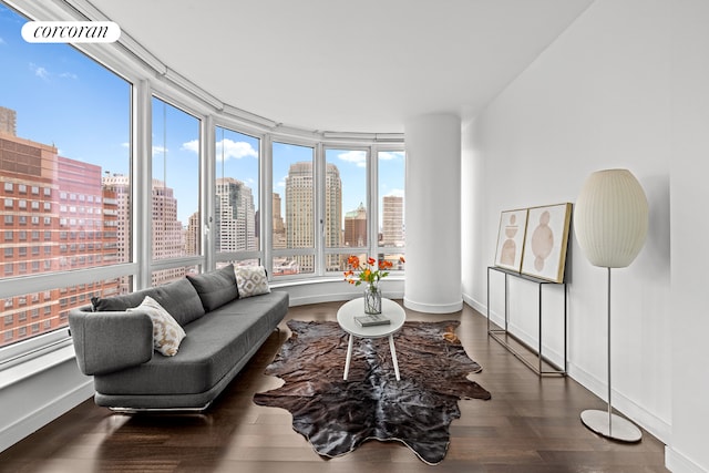 306 Gold St Unit 25D, New York City, NY 11201 - living area with a skyline view, plenty of natural light, wood finished floors, and baseboards