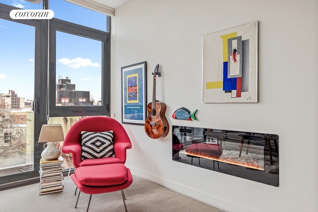 508 Waverly Ave Unit 4, New York City, NY 11238 - sitting room with carpet, baseboards, and a view of city