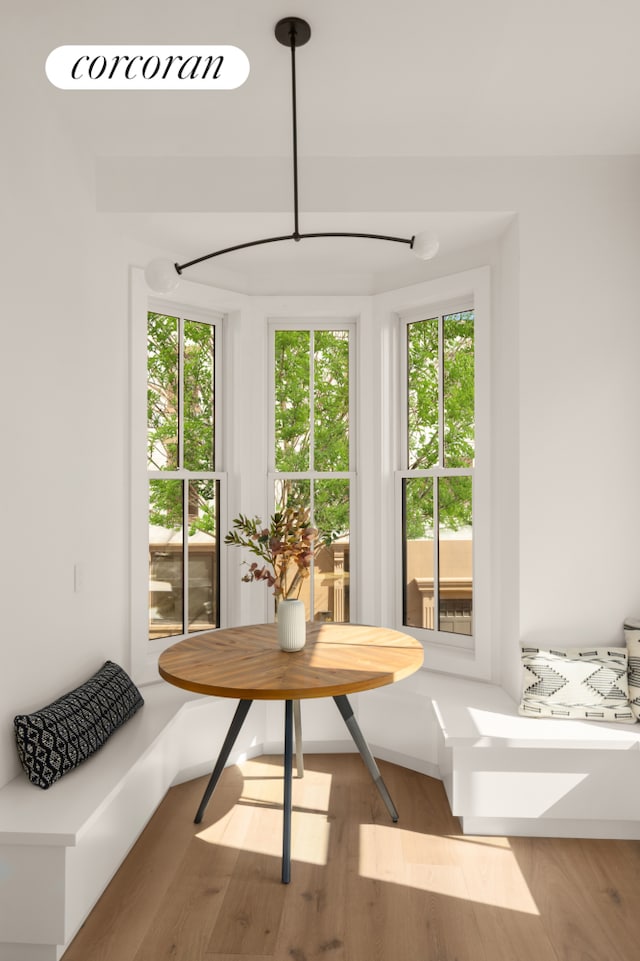 entryway featuring wood finished floors