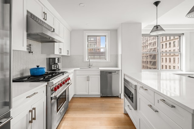 69 5th Ave Unit 9Gh, New York City, NY 10003 - kitchen with appliances with stainless steel finishes, under cabinet range hood, a sink, light countertops, and light wood-type flooring
