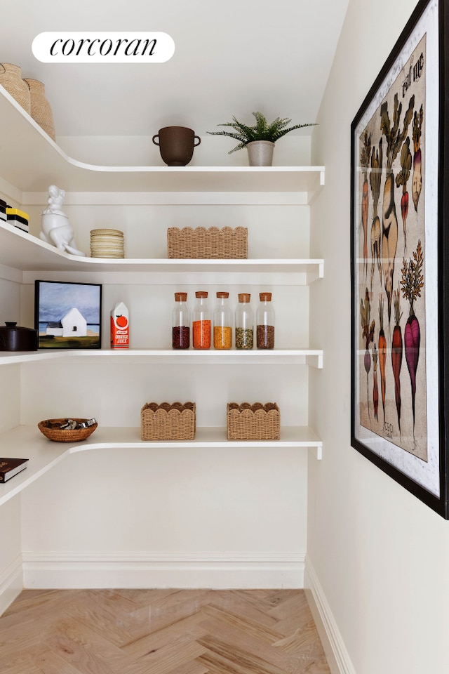 313 Troy Ave, New York City, NY 11213 - view of storage area