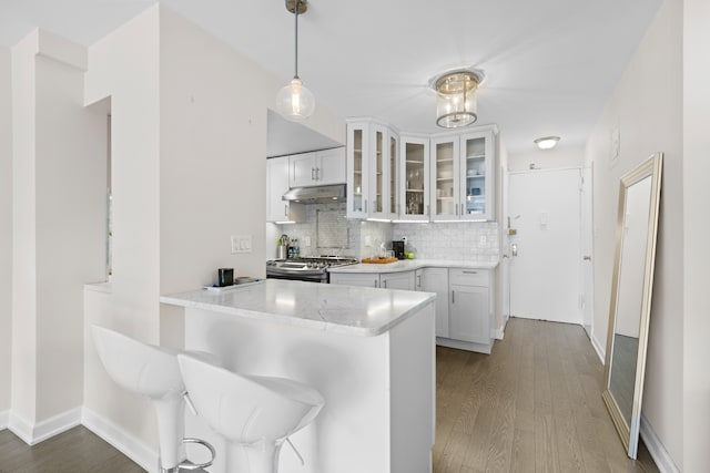 kitchen with wood finished floors, under cabinet range hood, stainless steel gas range, and tasteful backsplash