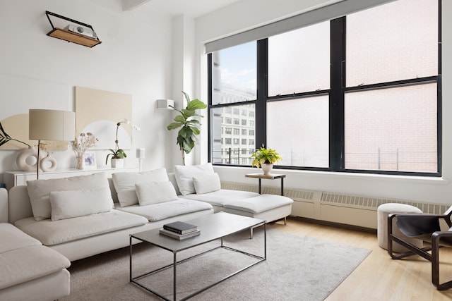 living area featuring wood finished floors and radiator heating unit