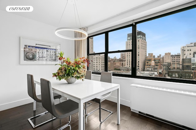 7 E 14th St Unit 1406, New York City, NY 10003 - dining area with baseboards, a city view, and dark wood-style flooring