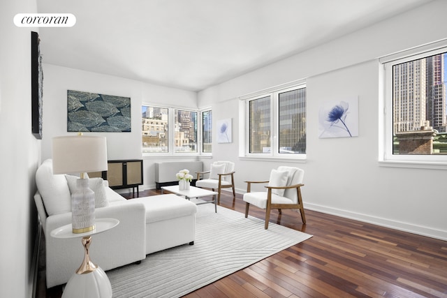 425 5th Ave Unit 22F, New York City, NY 10016 - living area featuring hardwood / wood-style flooring and baseboards