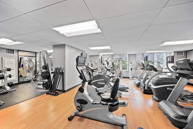 workout area featuring expansive windows and a drop ceiling