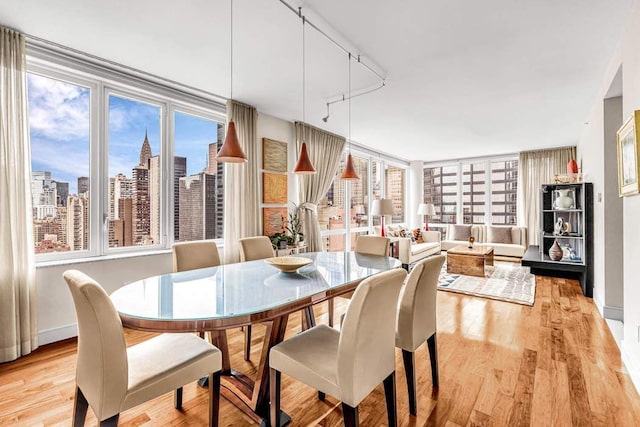 dining area featuring baseboards and light wood-style floors