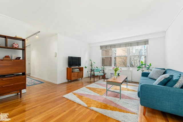 living room with crown molding, rail lighting, and light wood-style floors