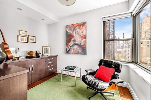 55 E End Ave Unit 12Hj, New York City, NY 10028 - living area with baseboards and wood finished floors