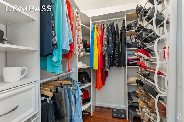spacious closet with wood finished floors