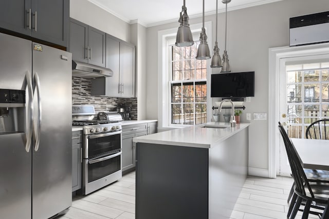 230 Union St, New York City, NY 11231 - kitchen featuring appliances with stainless steel finishes, gray cabinetry, under cabinet range hood, decorative backsplash, and a sink