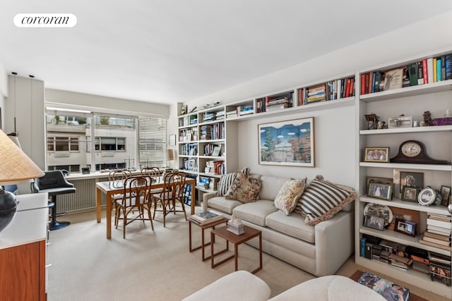25 Sutton Pl S Unit 16O, New York City, NY 10022 - living room with carpet flooring