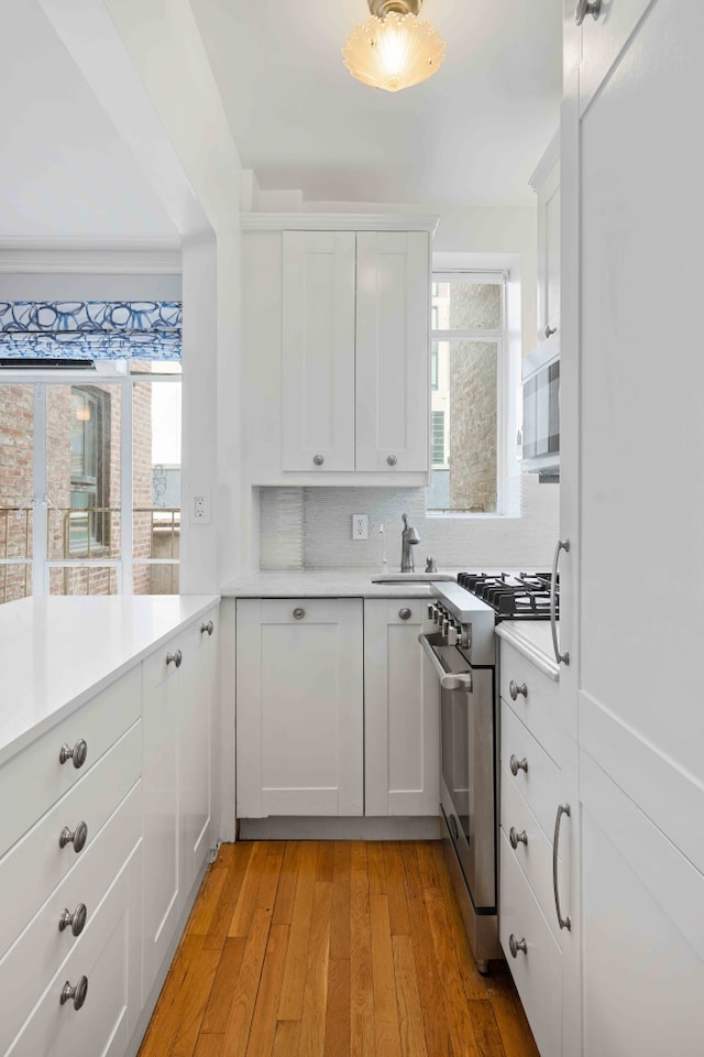 kitchen featuring tasteful backsplash, light countertops, a wealth of natural light, and stainless steel appliances