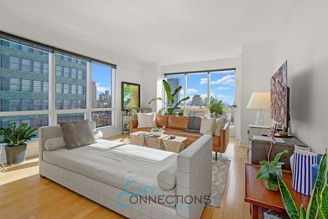 living room featuring hardwood / wood-style flooring and plenty of natural light