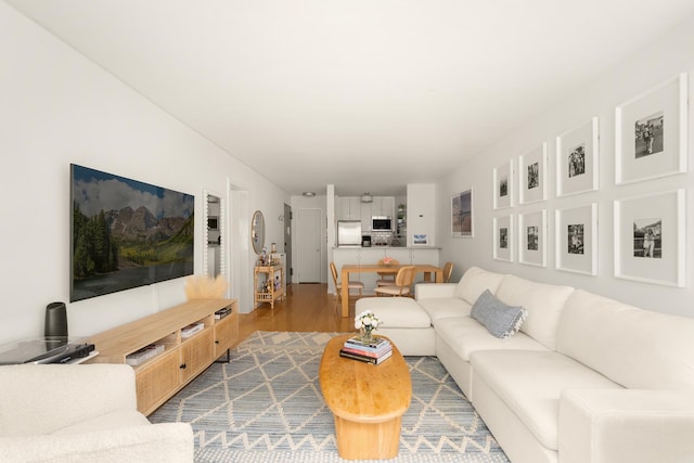 living area featuring wood finished floors