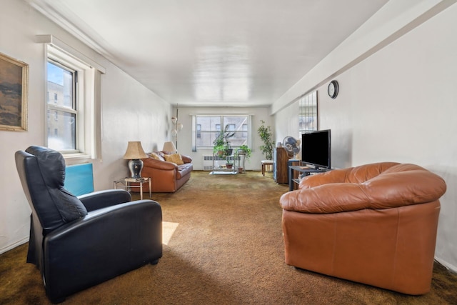 1010 Sherman Ave Unit 5L, New York City, NY 10456 - living room with carpet flooring, radiator heating unit, and plenty of natural light