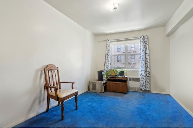 1010 Sherman Ave Unit 5L, New York City, NY 10456 - sitting room featuring radiator heating unit, carpet, and baseboards