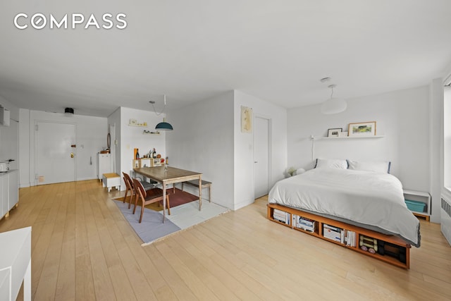 651 Vanderbilt St Unit 2R, New York City, NY 11218 - bedroom with light wood-style floors