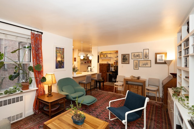 living room featuring radiator