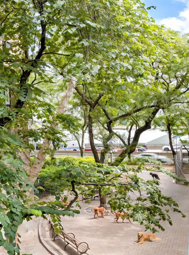 425 E 51st St Unit 5G, New York City, NY 10022 - view of community