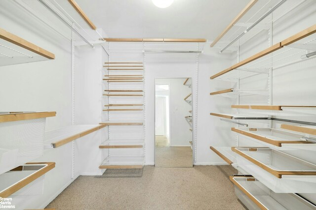 420 E 64th St Unit W12Fg, New York City, NY 10065 - view of spacious closet