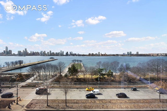water view featuring a view of skyline