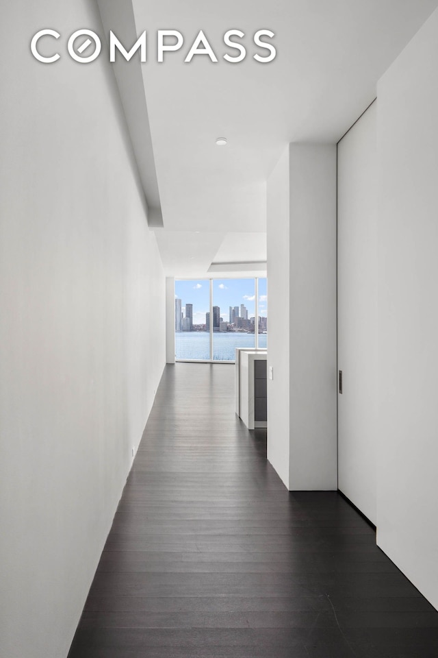 hallway featuring expansive windows, dark wood finished floors, and a skyline view