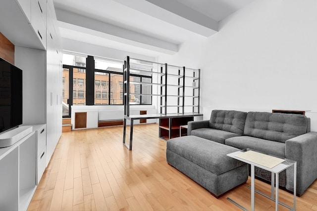 310 E 46th St Unit 15-E, New York City, NY 10017 - living room featuring light wood finished floors