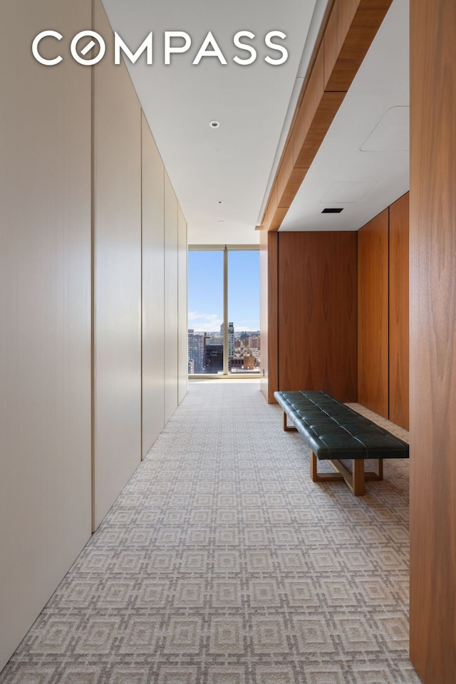 215 Chrystie St Unit Ph3, New York City, NY 10002 - hallway featuring expansive windows, carpet, and wooden walls