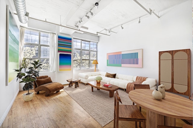689 Myrtle Ave Unit 2E, New York City, NY 11205 - living room with rail lighting, hardwood / wood-style flooring, and baseboards