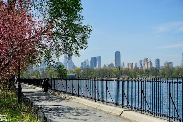 view of community featuring a skyline view and a water view
