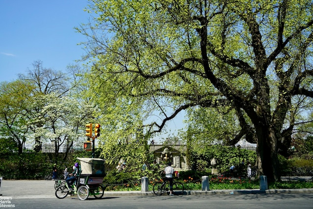 view of property's community