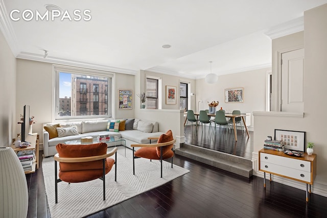living area featuring dark wood-style flooring and ornamental molding