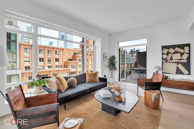 living area featuring a baseboard heating unit, wood finished floors, and a healthy amount of sunlight