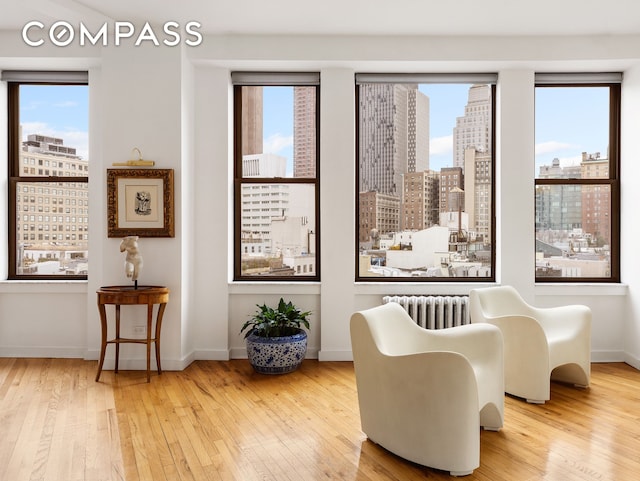 1 Hudson St Unit 9, New York City, NY 10013 - sitting room featuring radiator heating unit, a skyline view, hardwood / wood-style floors, and plenty of natural light