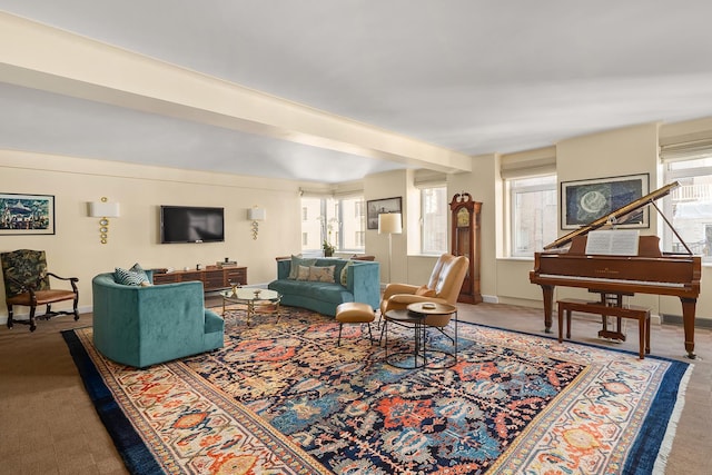 875 5th Ave Unit 12Ef, New York City, NY 10065 - living area with carpet flooring and baseboards