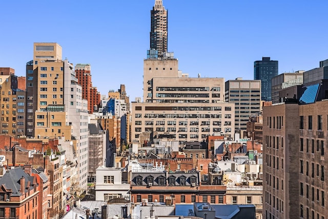 875 5th Ave Unit 12Ef, New York City, NY 10065 - city view