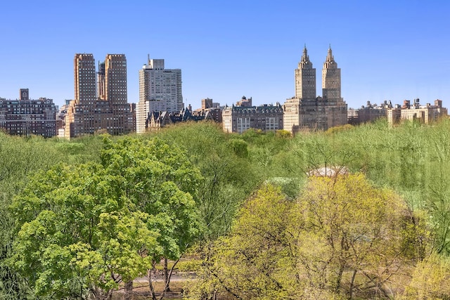 875 5th Ave Unit 12Ef, New York City, NY 10065 - view of city skyline