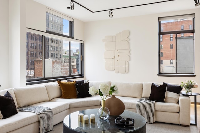 living room with rail lighting