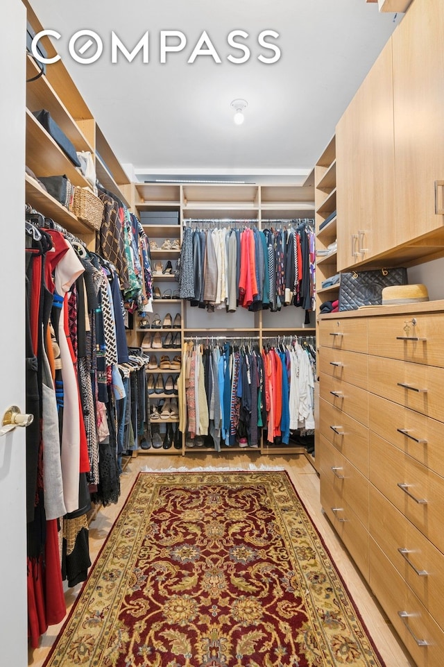 view of spacious closet