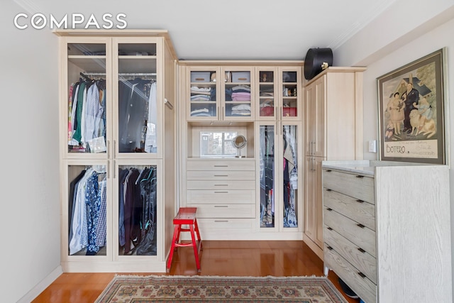 spacious closet with wood finished floors