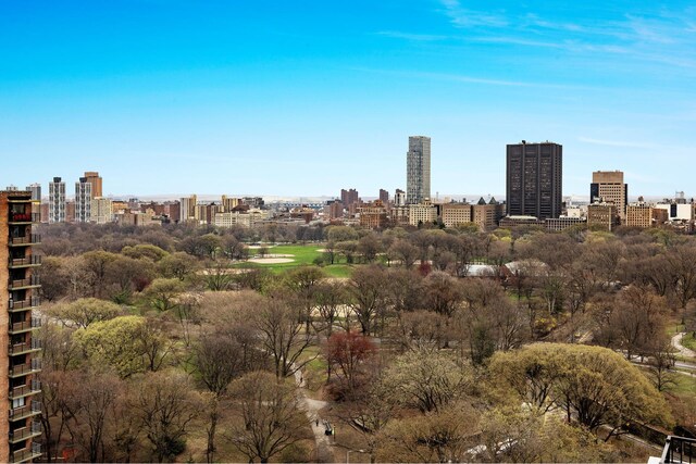 property's view of city
