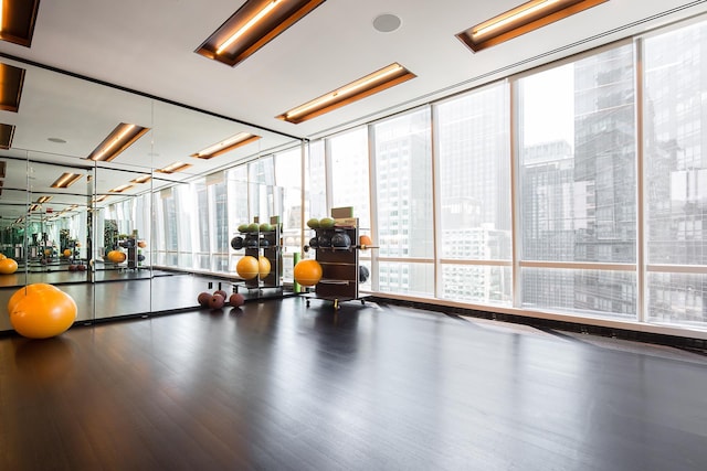 gym featuring floor to ceiling windows, wood finished floors, and a wealth of natural light